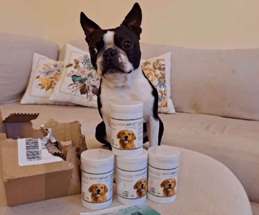 PROBIOTICI INDOGREVIT®